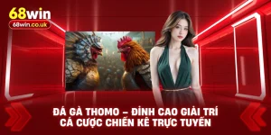 Đá Gà Thomo – Đỉnh Cao Giải Trí Cá Cược Chiến Kê Trực Tuyến