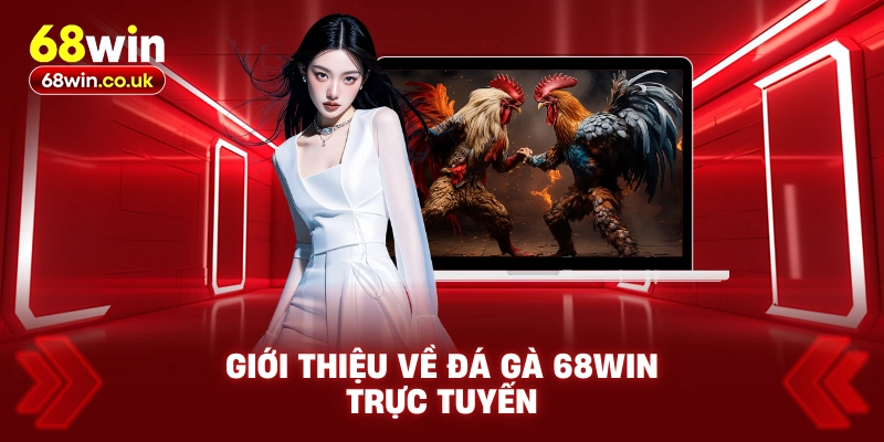 Giới Thiệu Về Đá Gà 68WIN Trực Tuyến